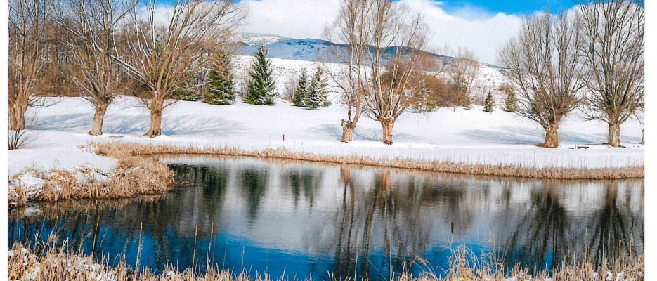 ZONA RESIDENCIAL I CAMP DE GOLF